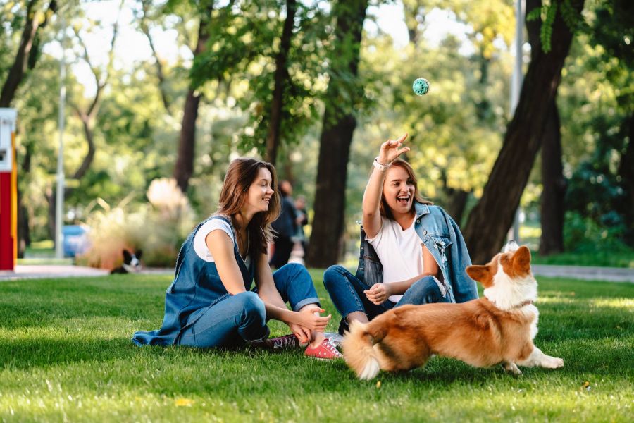 Two women sitting on grass in a park, playing fetch with a corgi dog on a sunny day.