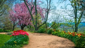Norfolk Botanical Garden